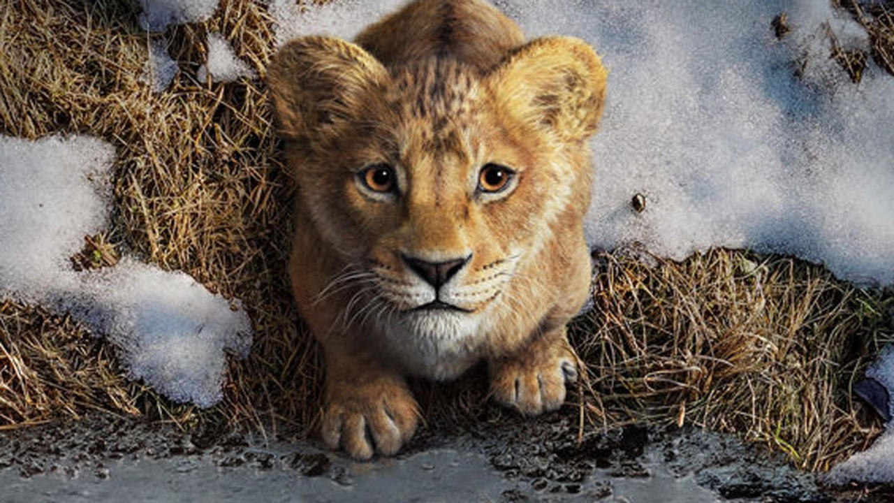 Mufasa: The Lion King