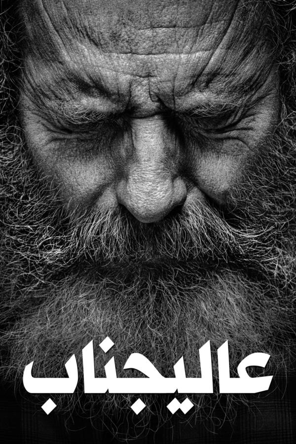 فخامتك