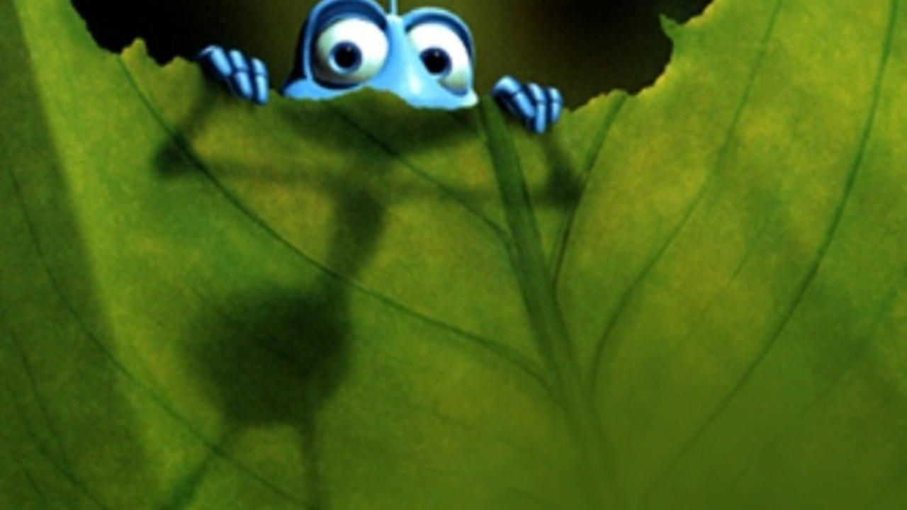 A Bug's Life