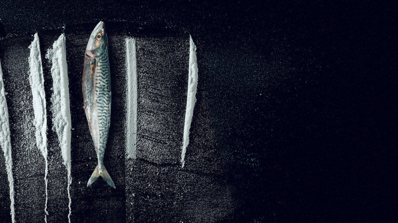 Maré Branca: A Surreal História de Rabo de Peixe